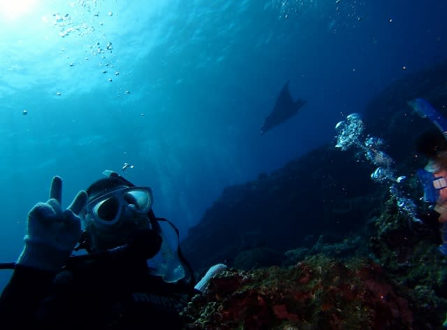 P9240049_640x472 P9240049_640x472