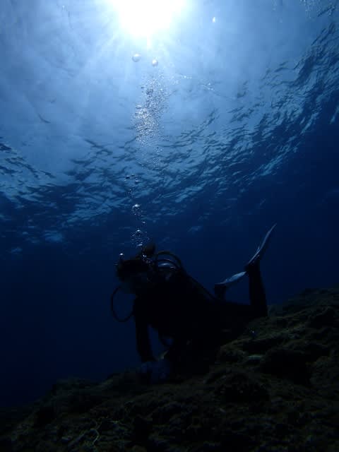 P9090011_480x640 P9090011_480x640