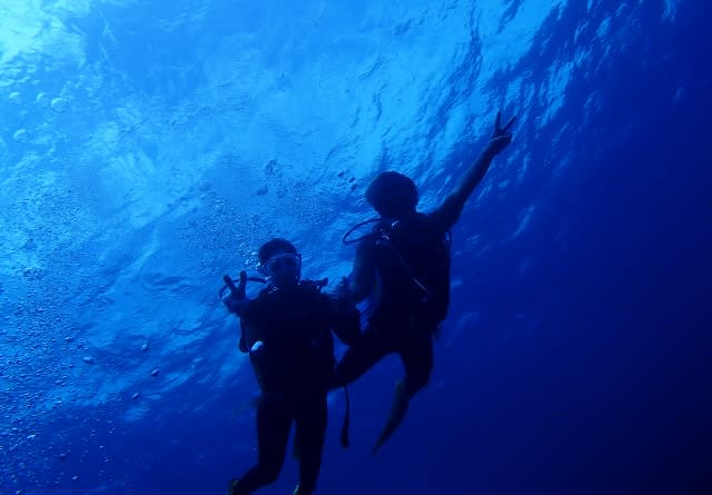 P9220028_640x445 P9220028_640x445