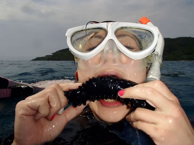 P4200092_640x480_2 P4200092_640x480_2