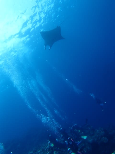 P7193052_640x480 P7193052_640x480