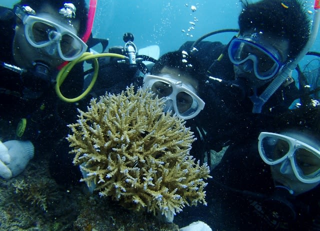 P9270027_640x462 P9270027_640x462