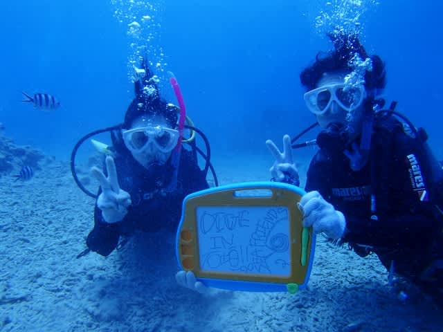 P9080034_640x480 P9080034_640x480