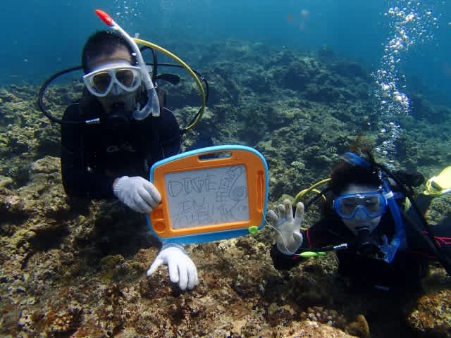 P9250022_640x480 P9250022_640x480