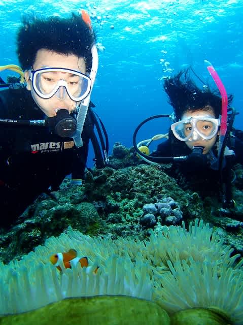 P8155299_479x640 P8155299_479x640