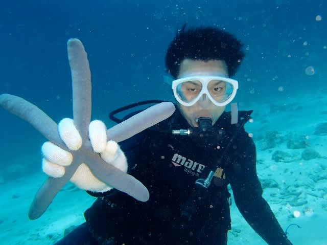 P6300066_640x479 P6300066_640x479