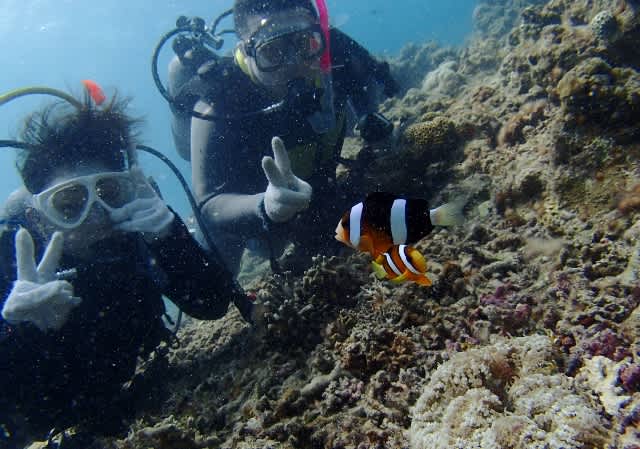 P9150019_640x449 P9150019_640x449