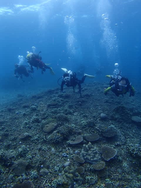 P9270012_480x640 P9270012_480x640