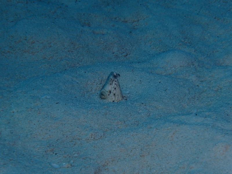 P5310006_1024x768 P5310006_1024x768