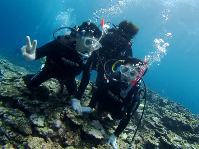 P8230036_640x479 P8230036_640x479