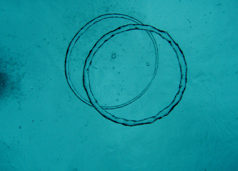 Pb270017_2 Pb270017_2