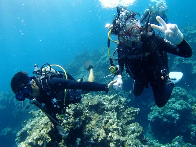 P7223513_640x480 P7223513_640x480