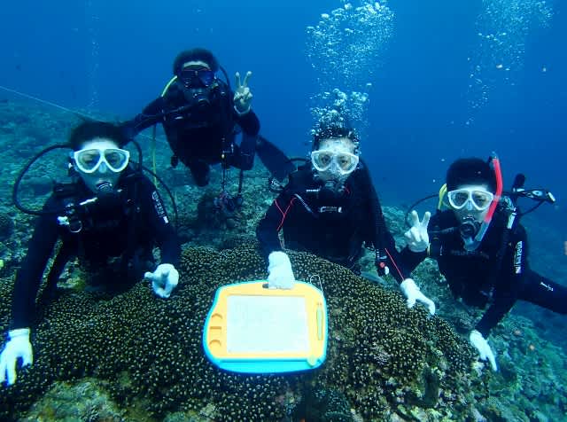 Pa160009_640x476 Pa160009_640x476