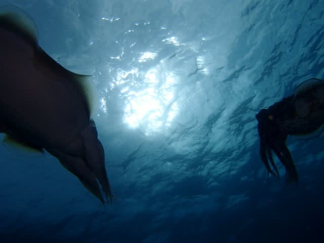 P5280011_640x480 P5280011_640x480