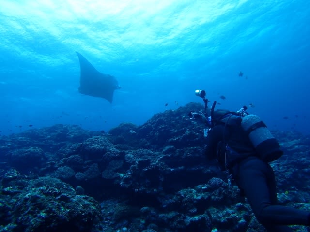 P5050096_640x480 P5050096_640x480