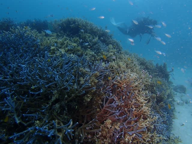 P8140001_640x480 P8140001_640x480