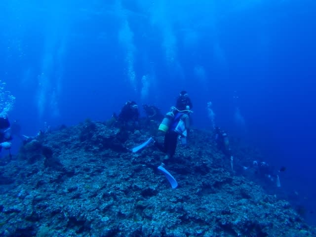 P9040025_640x480 P9040025_640x480