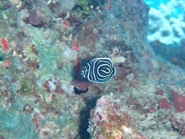 Pa210021_640x480 Pa210021_640x480