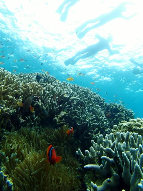 P8155287_479x640 P8155287_479x640