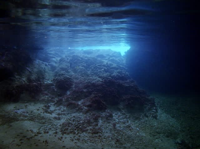 P8145235_640x479 P8145235_640x479