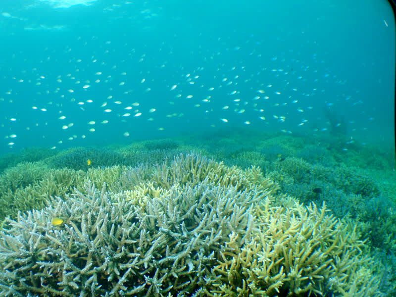 P1010017_2 P1010017_2