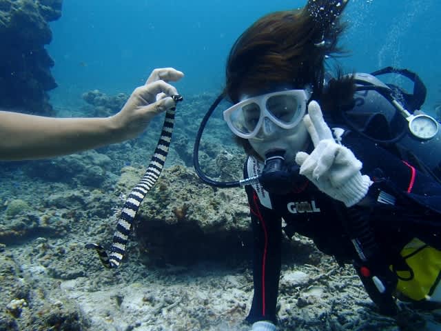 P9277665_640x480 P9277665_640x480