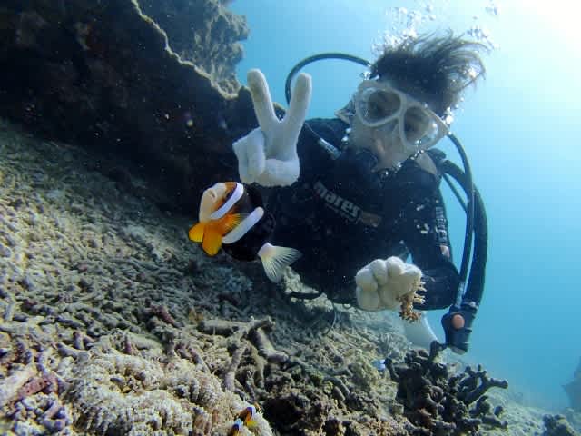 Pa190052_640x480 Pa190052_640x480