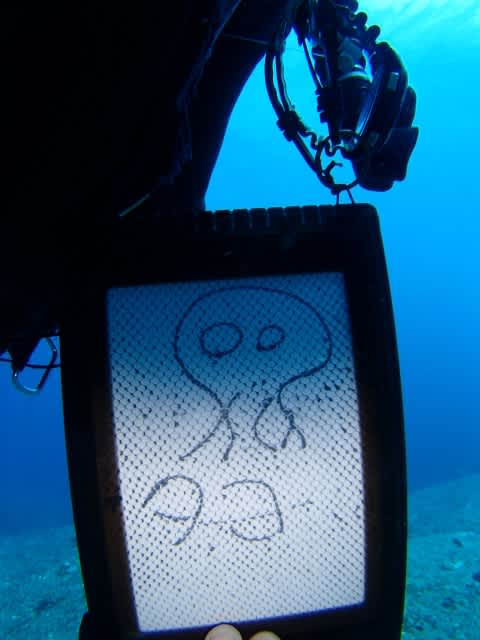 P6130006_640x480 P6130006_640x480