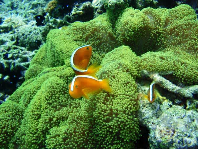 Pa010006_2 Pa010006_2