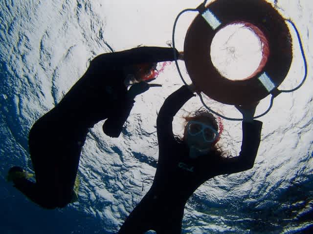 P9180008_640x480 P9180008_640x480