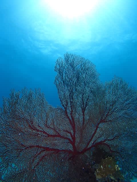 P6302295_640x480_640x480 P6302295_640x480_640x480