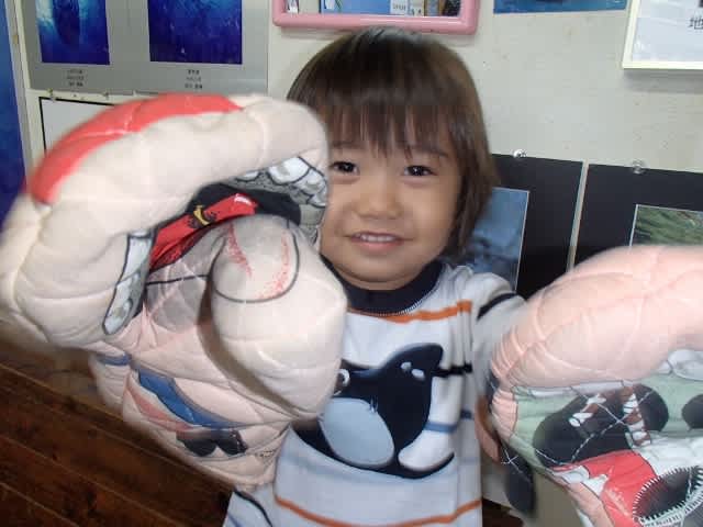 P42200052_640x480 P42200052_640x480