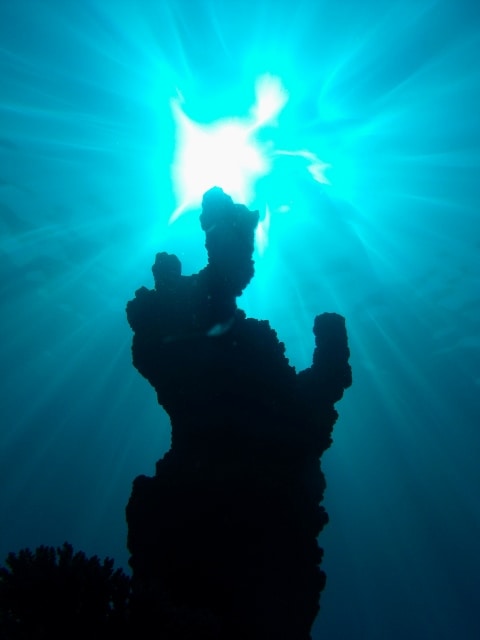 Gedc0052_480x640 Gedc0052_480x640