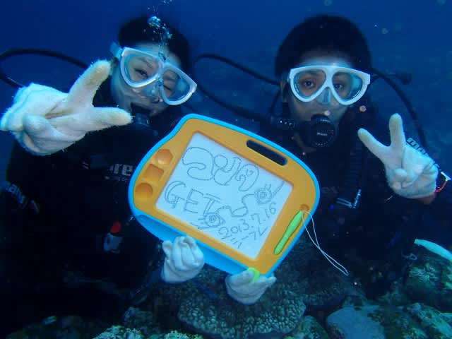 P7162894_640x480 P7162894_640x480