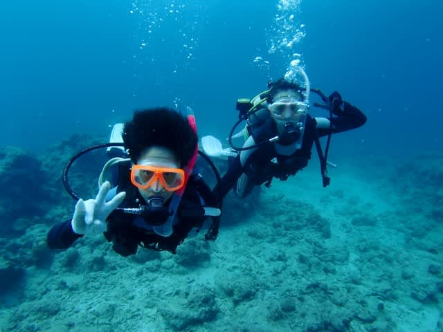 Pa180038_640x480 Pa180038_640x480