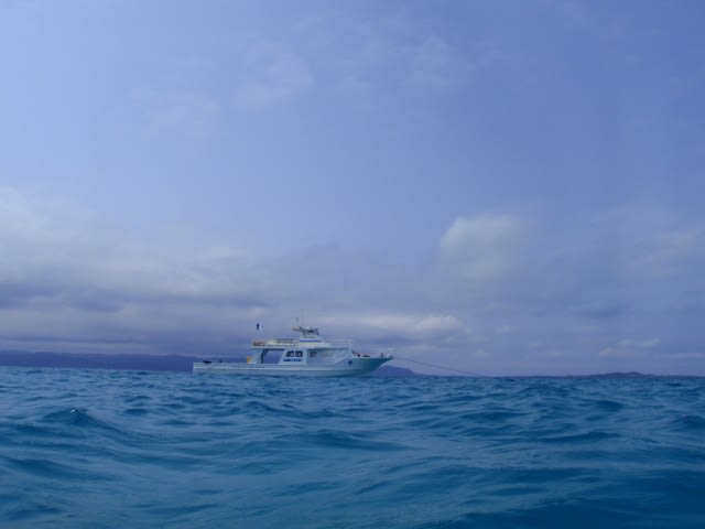 P3280437_640x480 P3280437_640x480