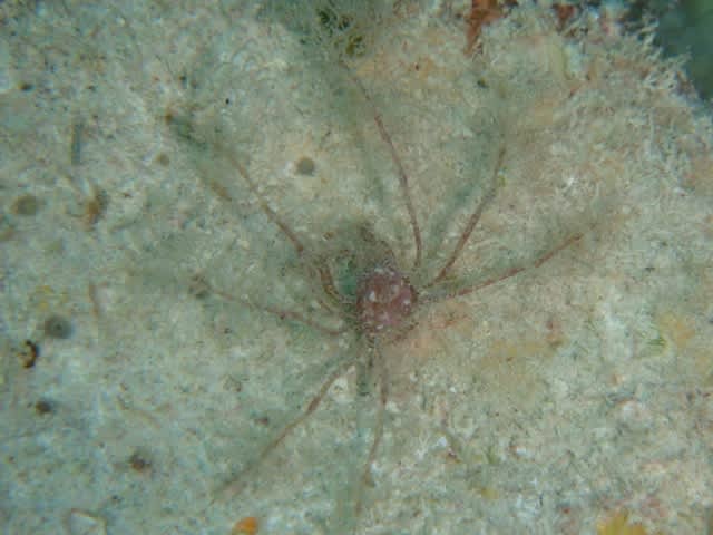 P9230023_640x480 P9230023_640x480