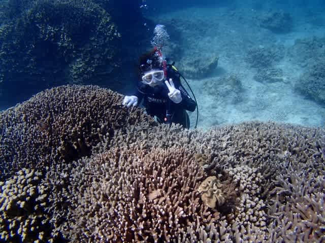 P9140023_640x480 P9140023_640x480