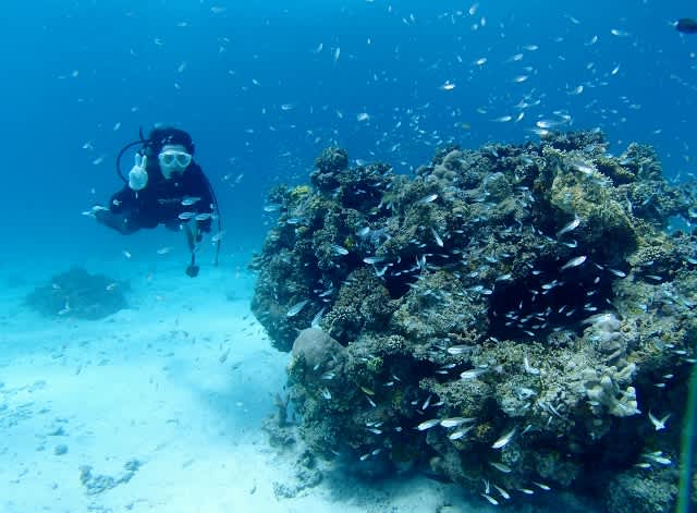 P5250017_640x471 P5250017_640x471