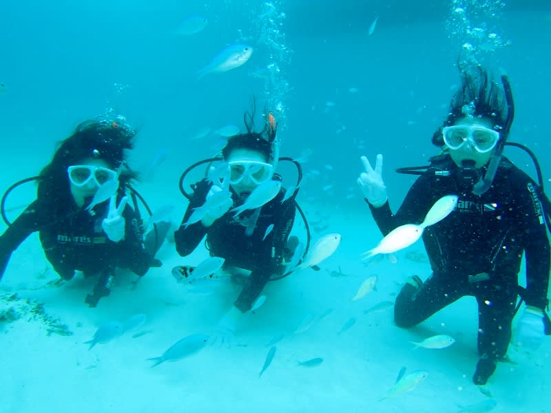 P6260011_800x600 P6260011_800x600