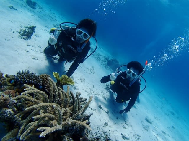 P9046270_640x480 P9046270_640x480