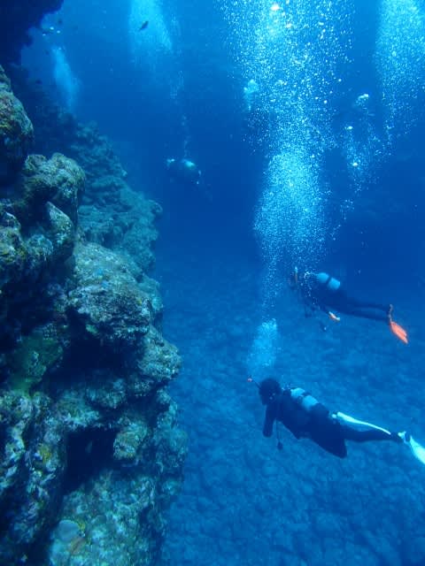 Pa010018_480x640 Pa010018_480x640