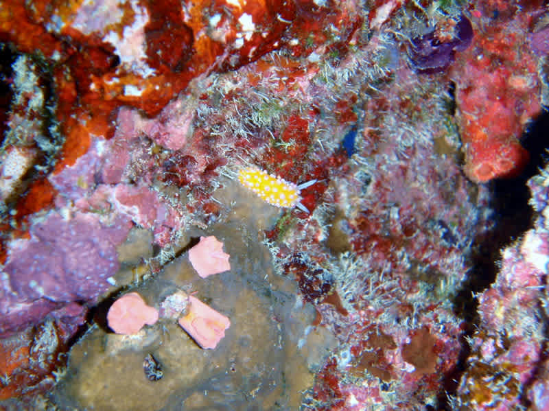 P4070019_2 P4070019_2