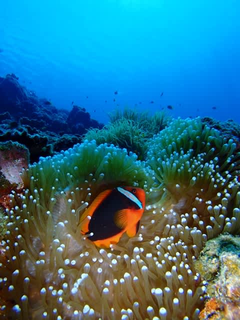 P9130031_640x480_4 P9130031_640x480_4