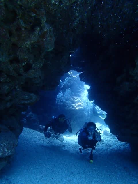 P7220087_640x480 P7220087_640x480