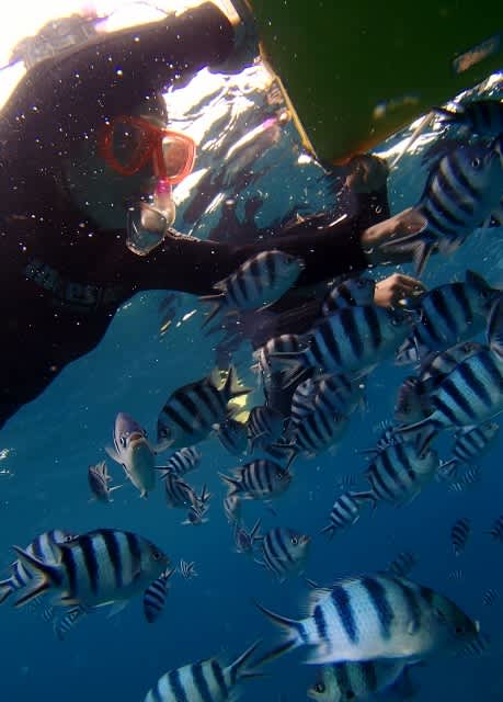 P9300004_459x640 P9300004_459x640