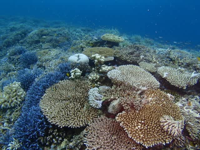 P8130057_640x480 P8130057_640x480