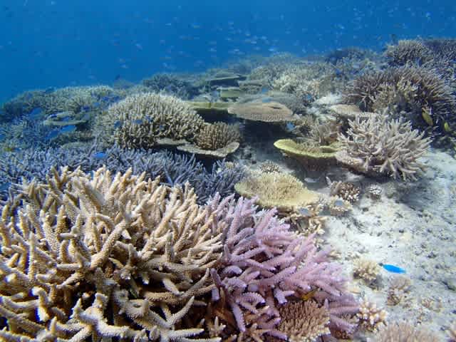 P5250009_640x480 P5250009_640x480