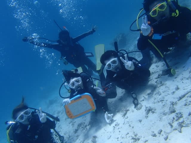 P6300010_640x480 P6300010_640x480