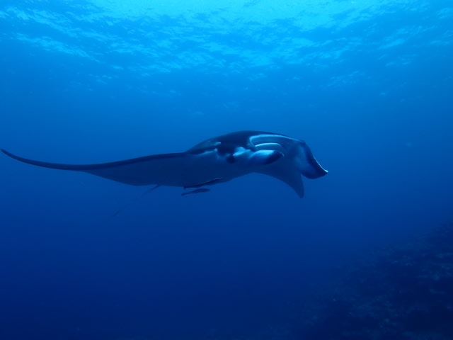 P7160049_640x480 P7160049_640x480